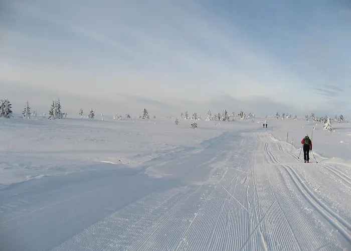 호텔 Lampeland Hotel